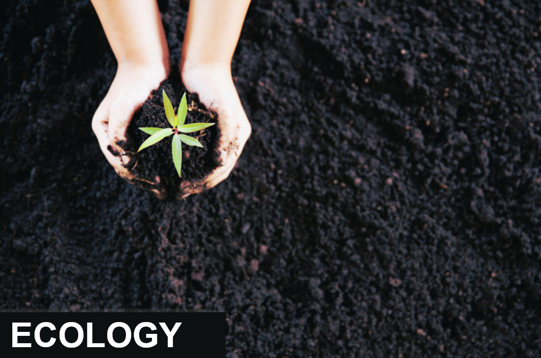 ecology