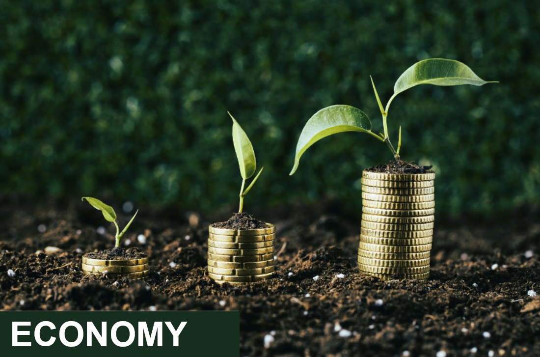 economy